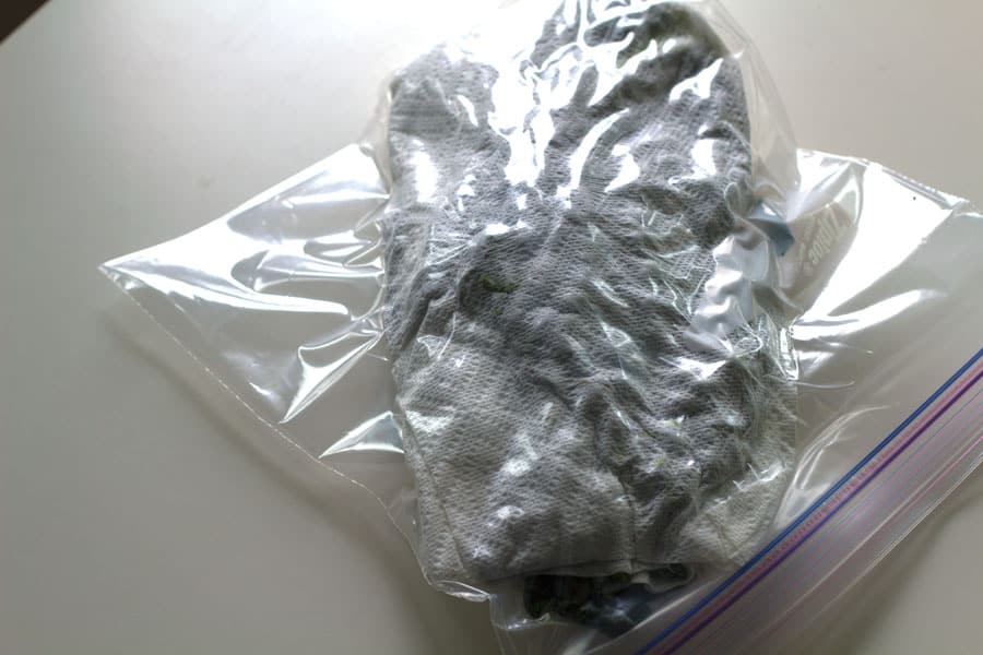 Green leaves covered with paper towel inside a closed resealable plastic bag.
