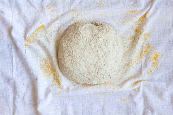 Ball of No-Knead Sesame Seed Bread dough covered in flour on a white cotton towel.
