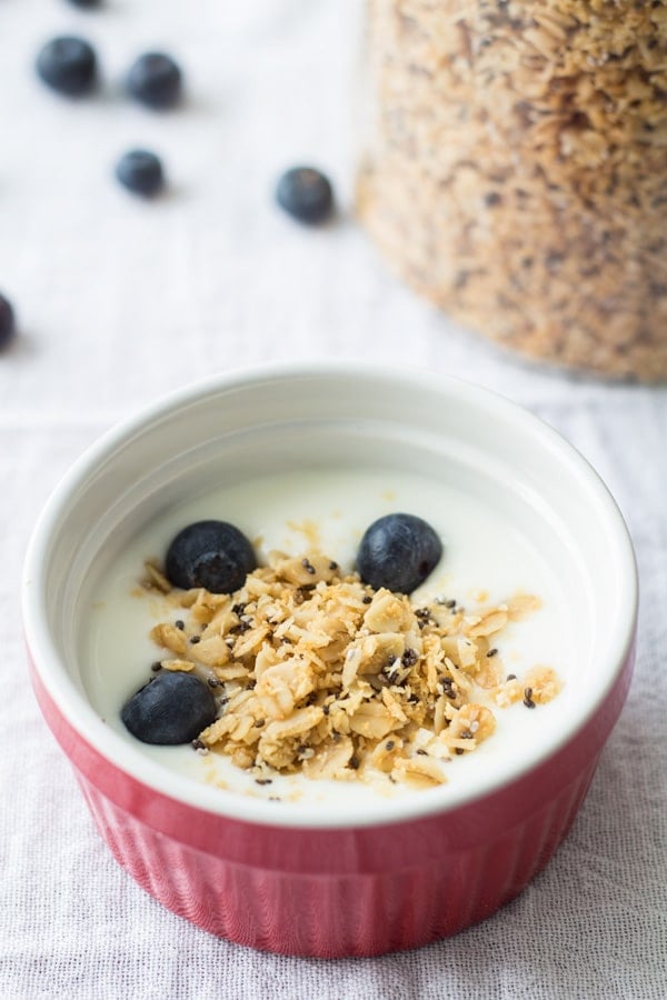 Nutfree Coconut Chia Granola as a topping of a bowl of yogurt with blueberries.