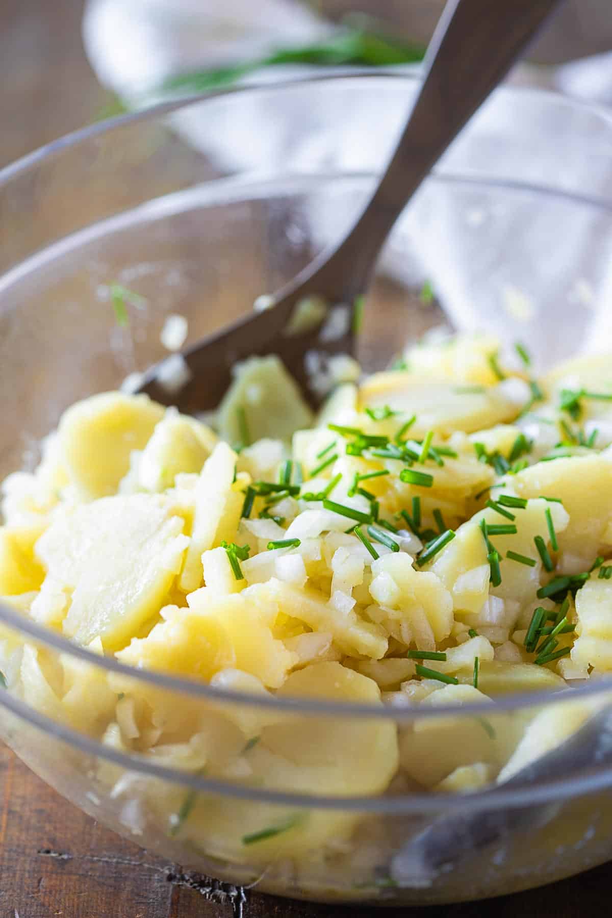 Closeup texture of Potato Salad.