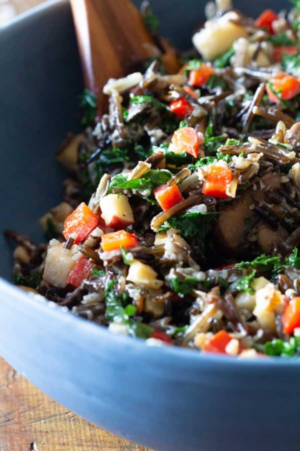 Closeup texture of mixed wild rice salad.