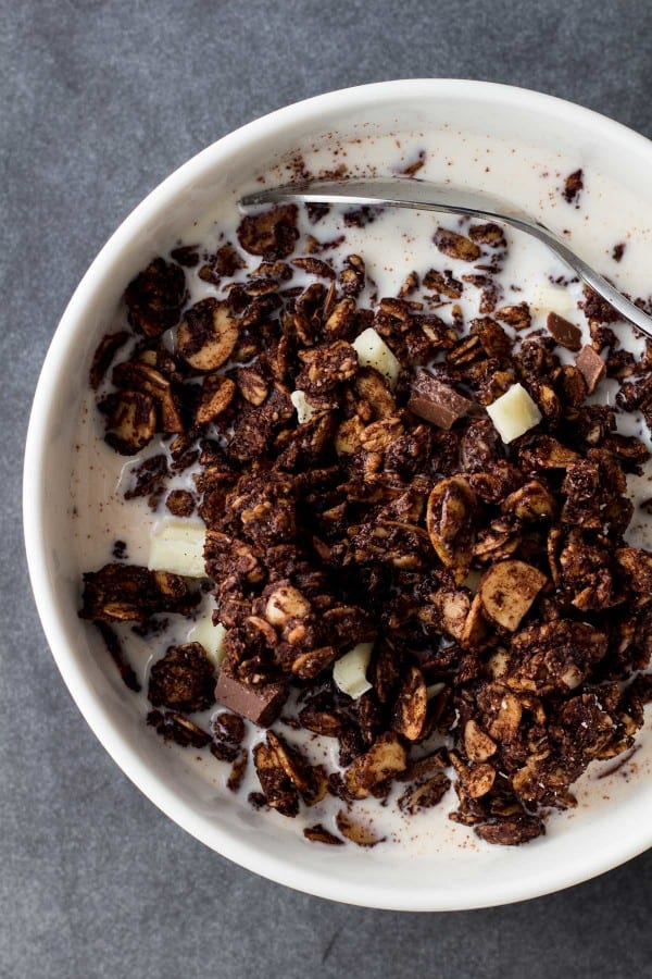 Chocolate Granola in bowl with milk