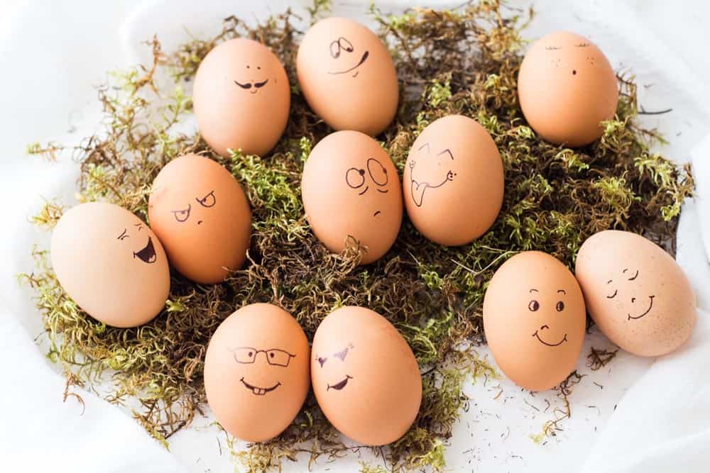 Several decorated Easter Eggs with silly faces on a bed of moss.