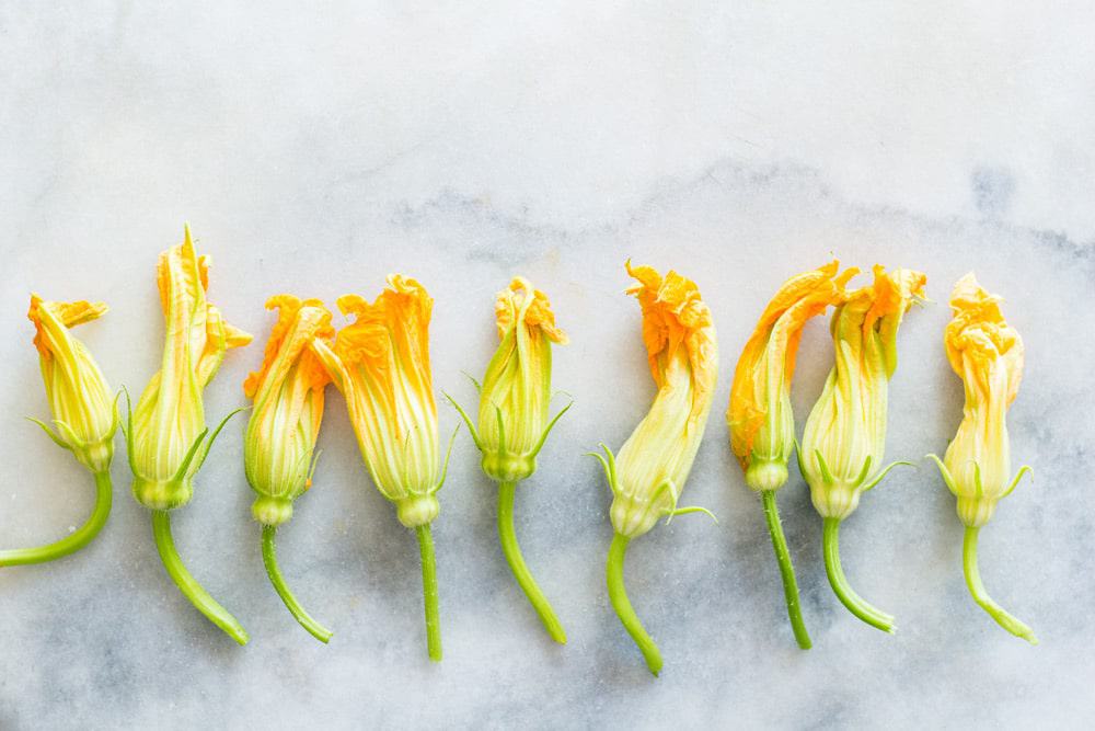 Squash Blossom neatly laid out in a line on a marble surface.