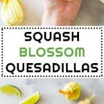 Collage of Squash Blossom Quesadillas images with text overlay for Pinterest.
