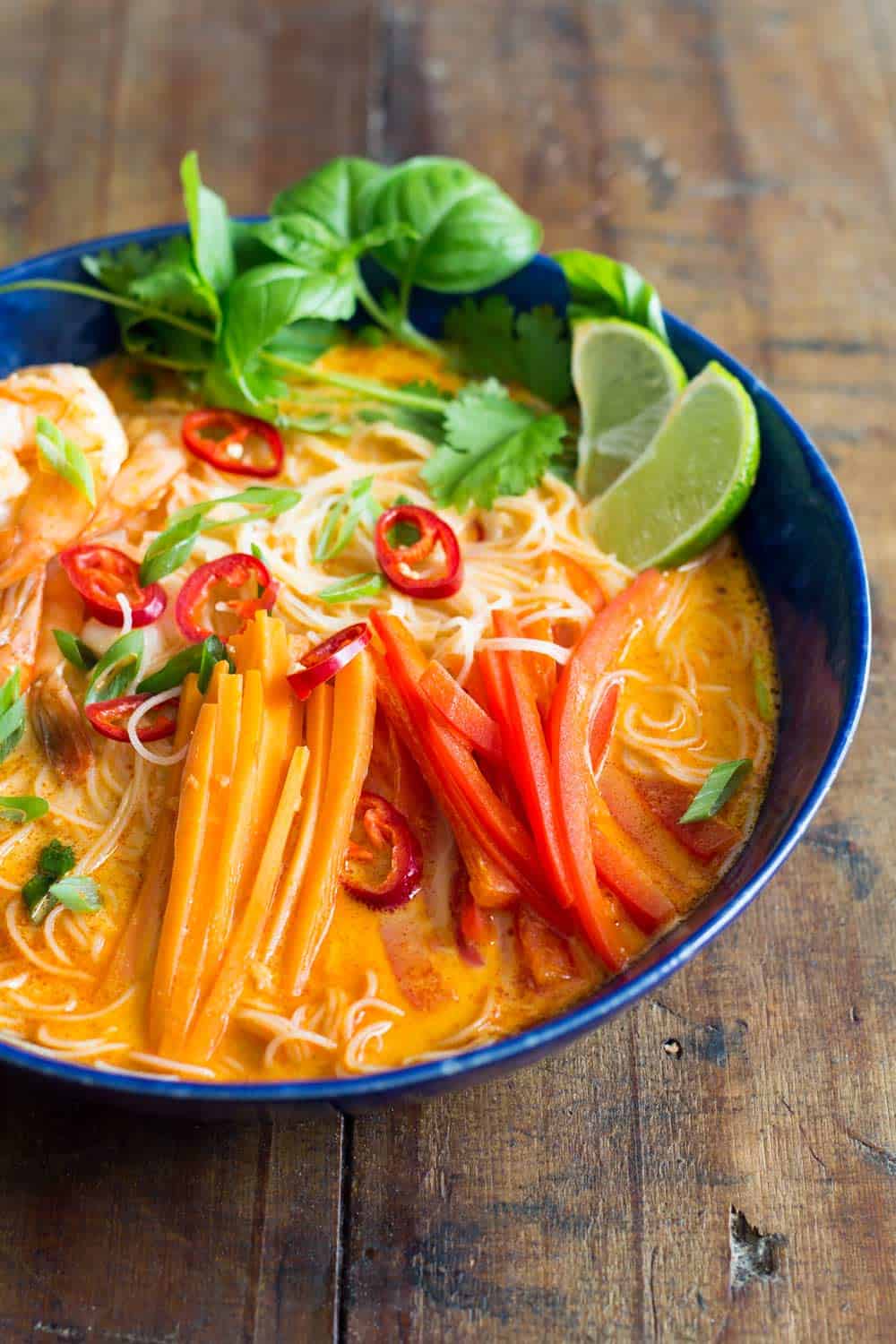 rice noodles, shrimps, carrot, bell pepper in broth.