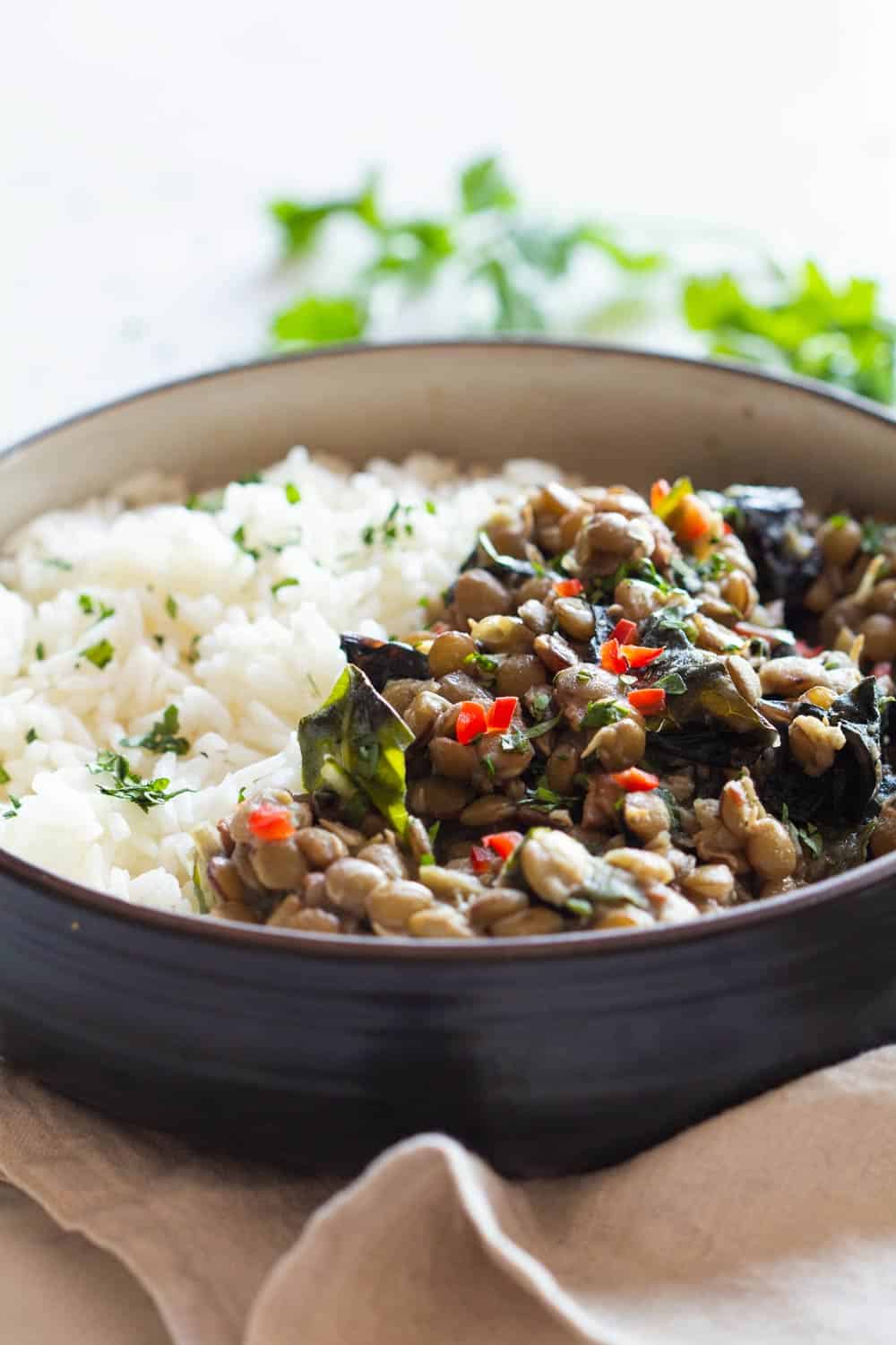 Rice and Lentils in a shallow bowl.