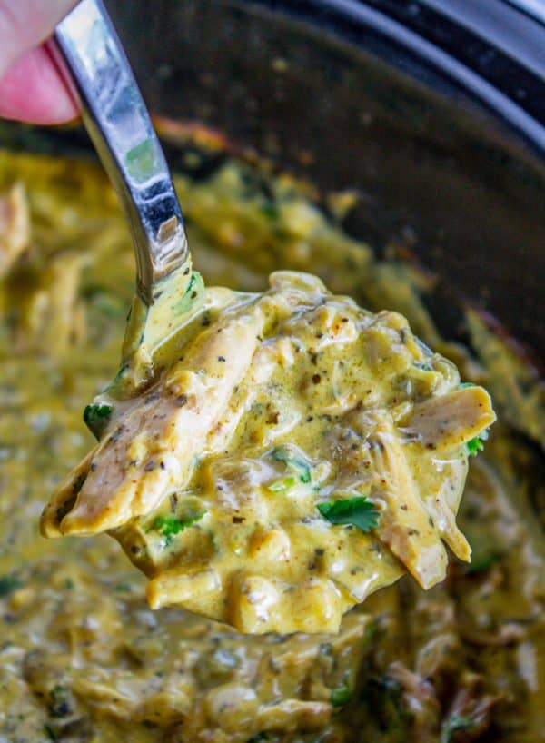 ladle full of Slow Cooker Coconut Chicken Curry