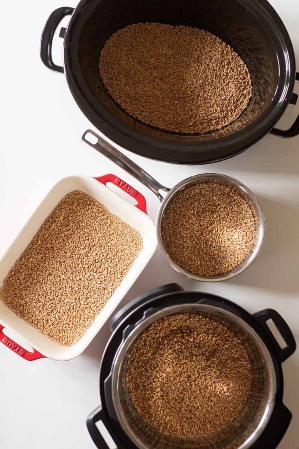Options on How to Cook Farro (farro in slow cooker, in instant pot, in baking dish, in pot)