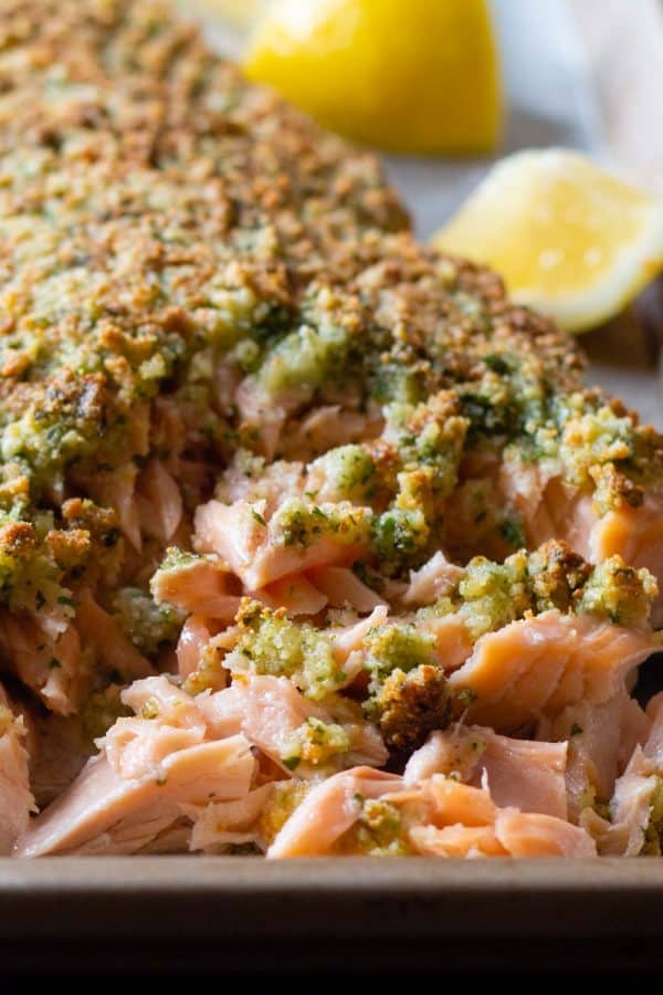 Closeup of baked salmon with almond flour parmesan crust