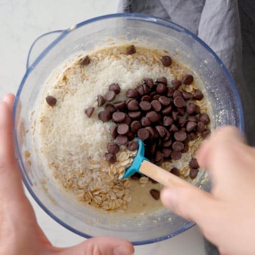 chocolate chips, oats, shredded coconut in a food processor