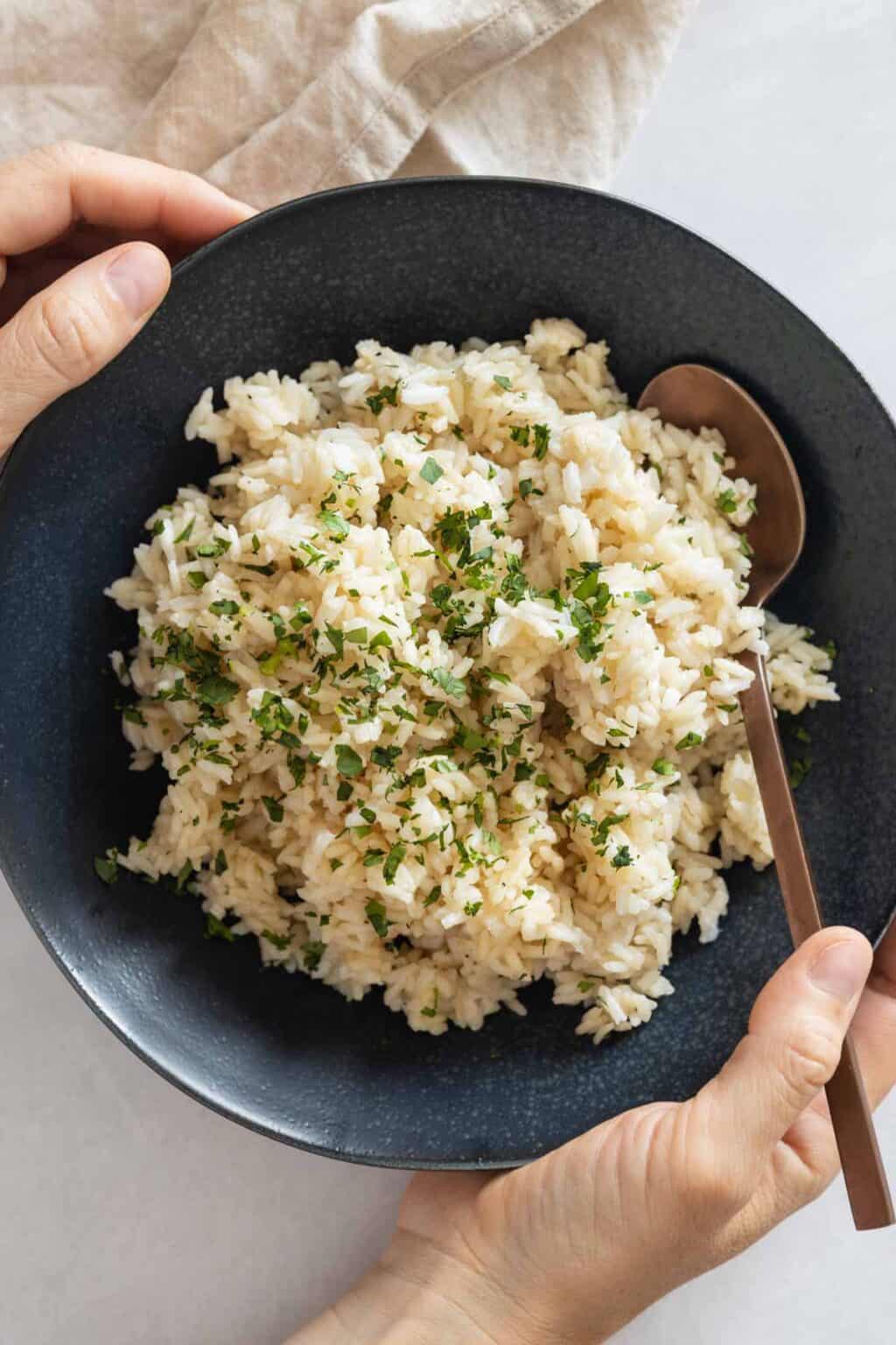 Instant Pot Coconut Rice Recipe - Aria Art