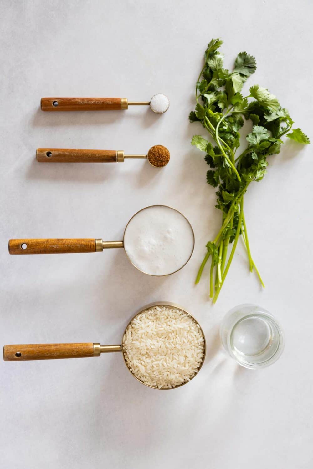 Ingredients for the Instant Pot Coconut Rice laid out on a kitchen counter.