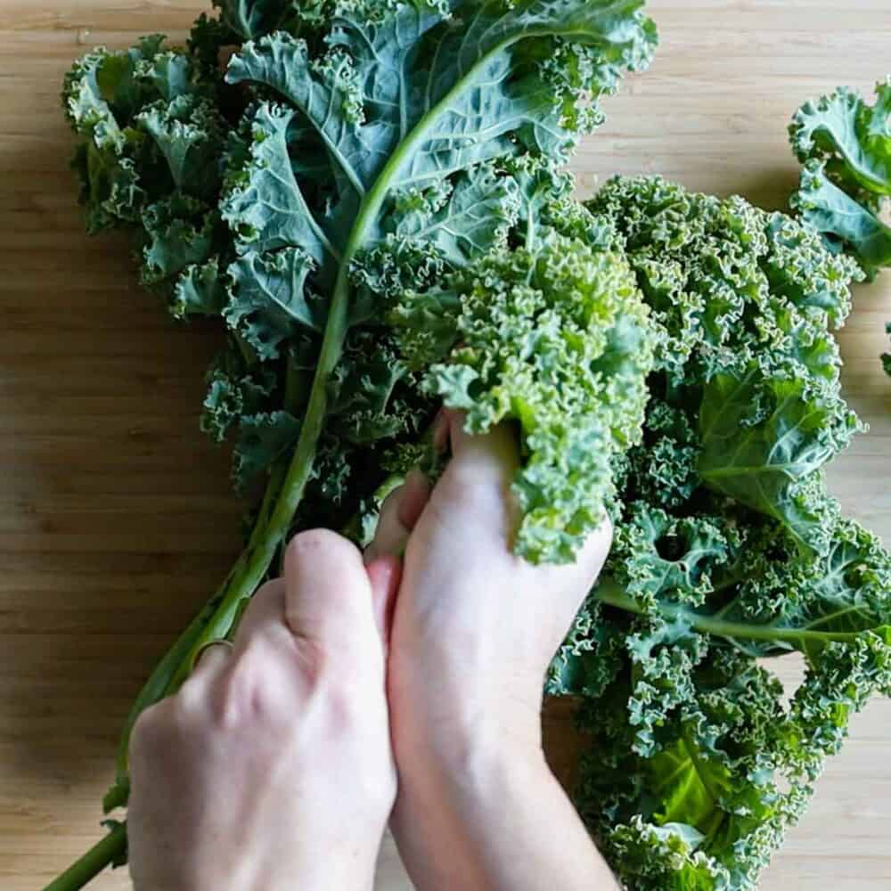 Two hands destalking kale.