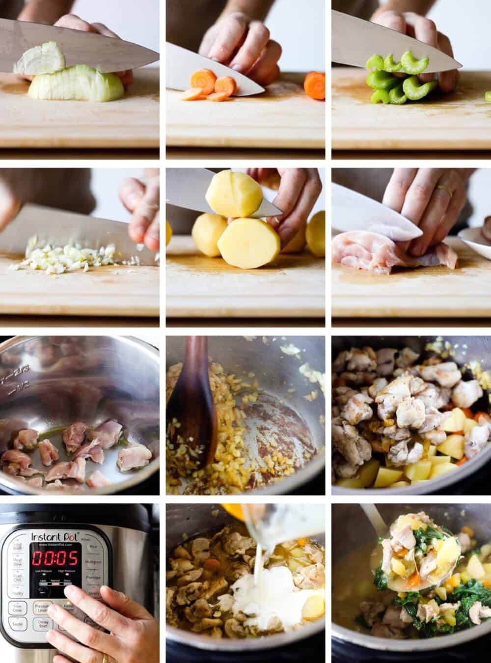 1 step instant online pot recipes