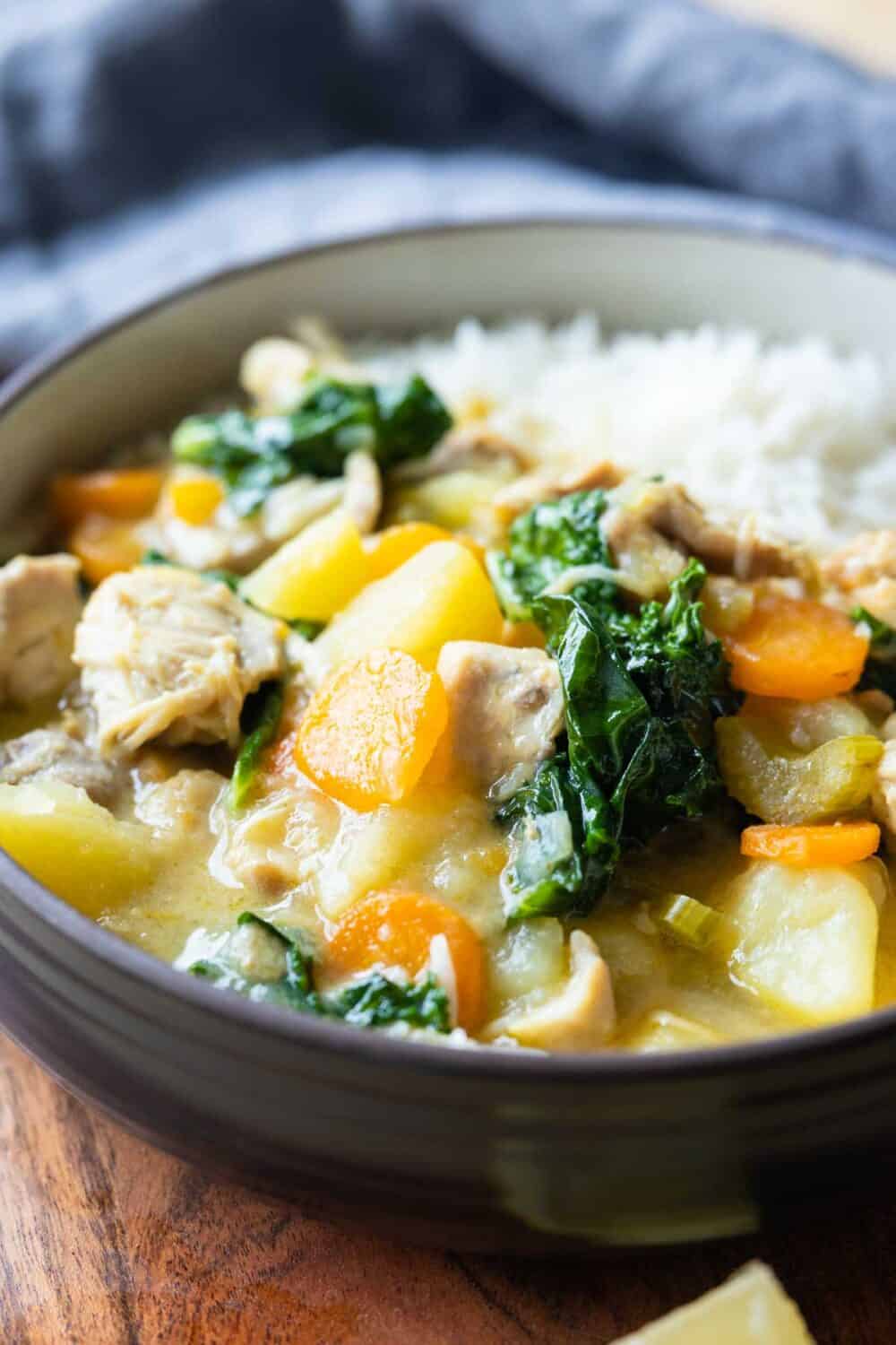 Closeup shot of texture of chicken stew.