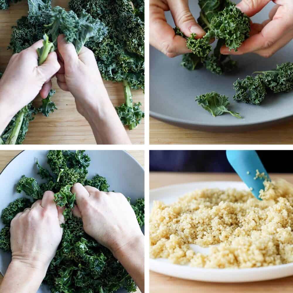 Photo collage of handling kale and quinoa as described in special tips section.
