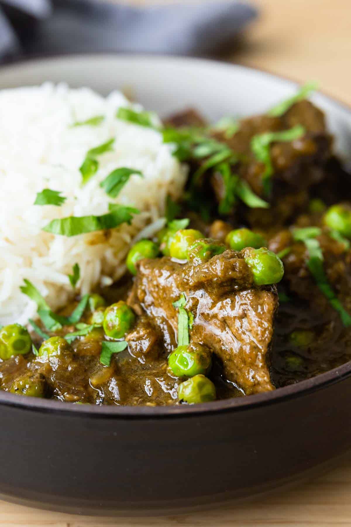 Close-up image of seco de carne in a shallow bowl with white rice in the back.